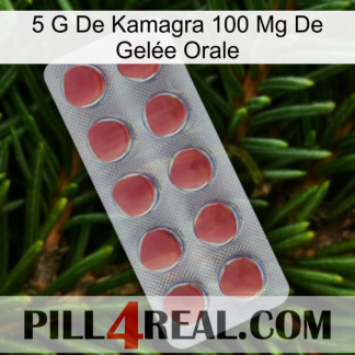 5 G De Kamagra 100 Mg De Gelée Orale 18